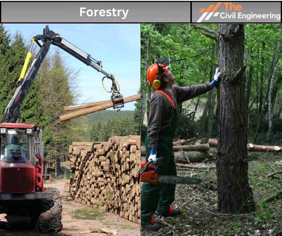 Forestry
