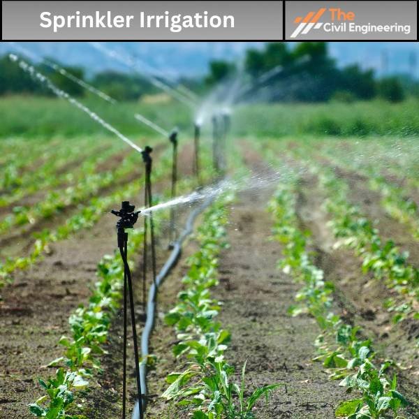 Sprinkler Irrigation  