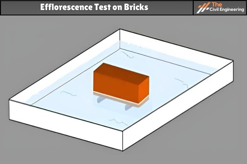 Efflorescence Test on brick