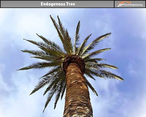 Endogenous Tree