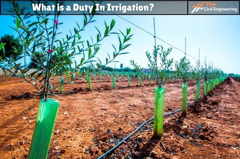 Duty in Irrigation