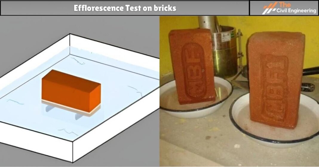 Efflorescence Test on bricks