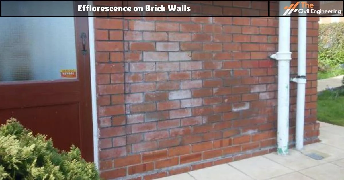 Efflorescence on Brick Walls