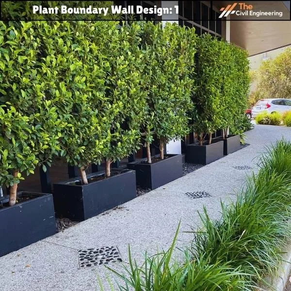 Plant Boundary Wall: 10 Stunning Designs, Key Details, and Standard Sizes