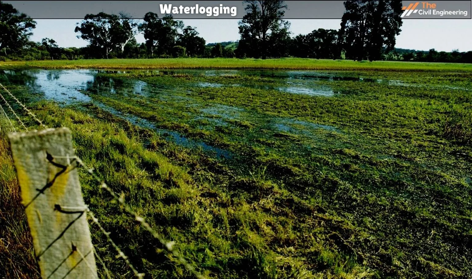 Waterlogging