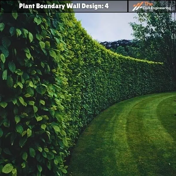 Plant Boundary Wall: 10 Stunning Designs, Key Details, and Standard Sizes