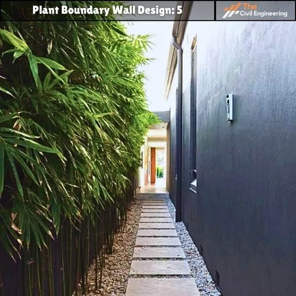 Plant Boundary Wall: 10 Stunning Designs, Key Details, and Standard Sizes