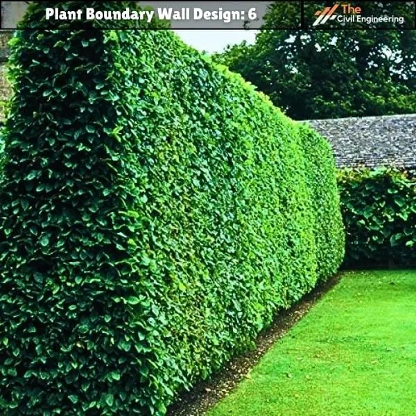 Plant Boundary Wall: 10 Stunning Designs, Key Details, and Standard Sizes