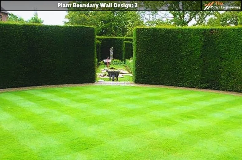 Plant Boundary Wall: 10 Stunning Designs, Key Details, and Standard Sizes