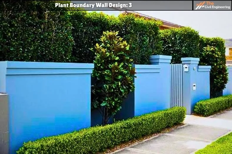 Plant Boundary Wall: 10 Stunning Designs, Key Details, and Standard Sizes