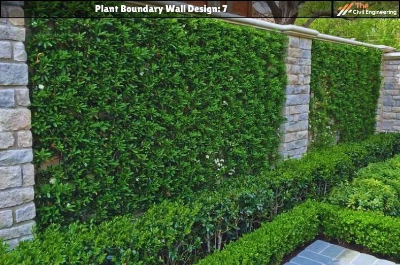Plant Boundary Wall: 10 Stunning Designs, Key Details, and Standard Sizes