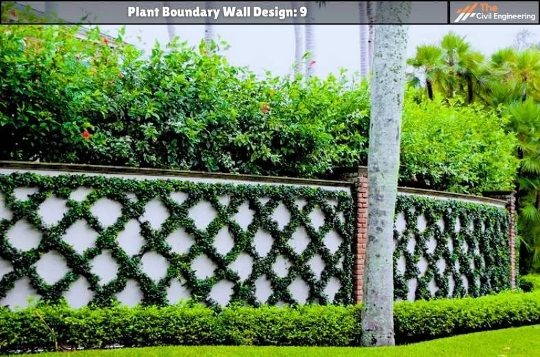 Plant Boundary Wall: 10 Stunning Designs, Key Details, and Standard Sizes