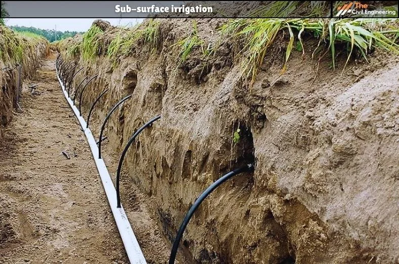 Sub-surface irrigation