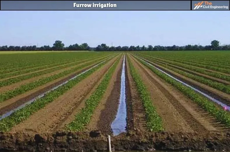 Furrow irrigation