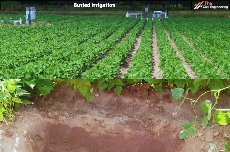 Buried irrigation