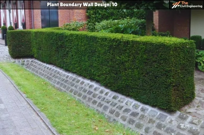 Plant Boundary Wall: 10 Stunning Designs, Key Details, and Standard Sizes