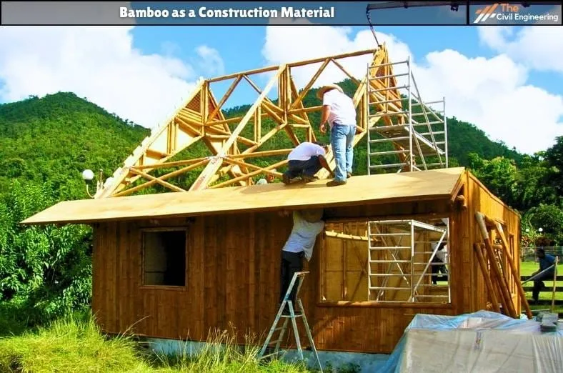 bamboo as a construction material