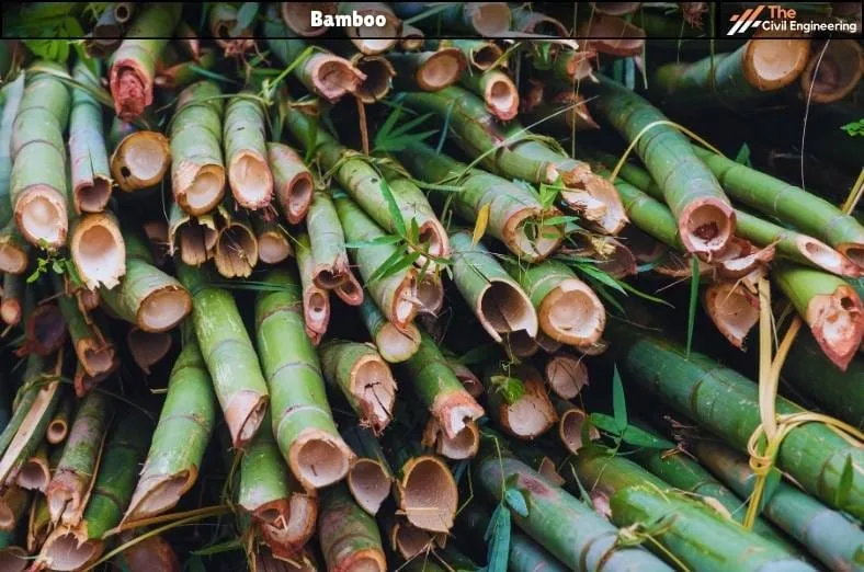 bamboo as a construction material