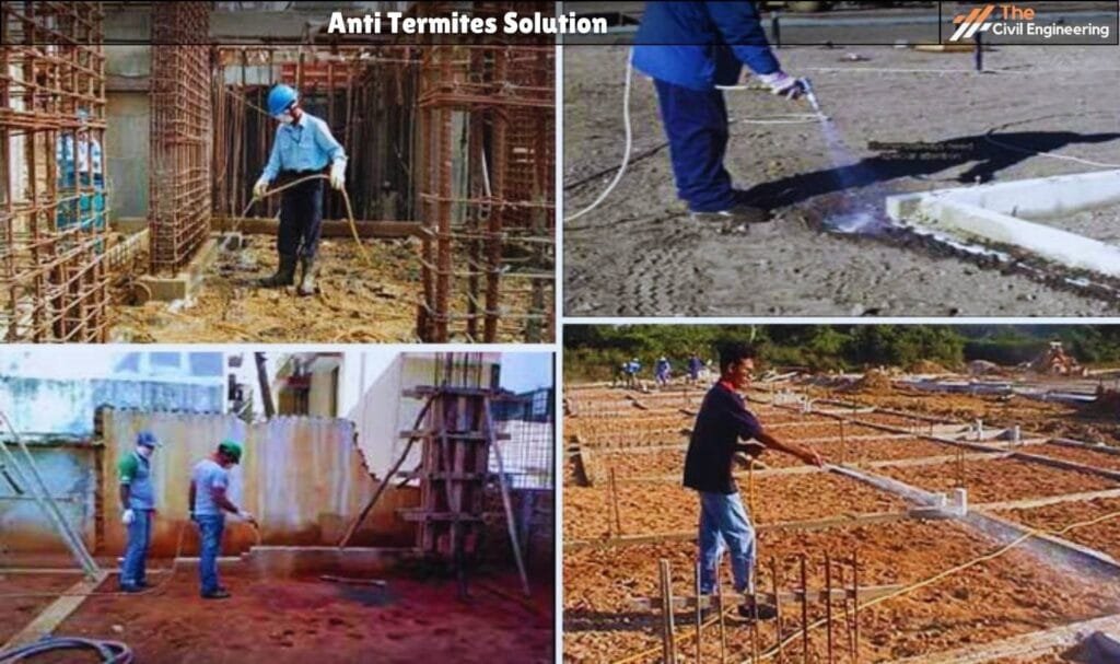 Anti Termites Solution | Chemicals, Types, Advantages, Disadvantages of ...